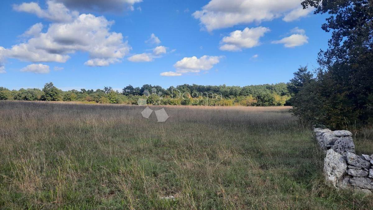 Kmetijsko zemljišče Štokovci, Svetvinčenat, 26.059m2