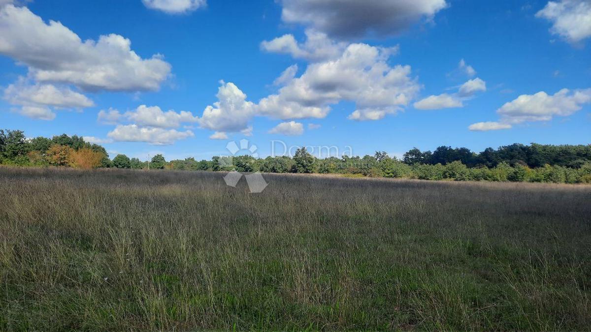 Kmetijsko zemljišče Štokovci, Svetvinčenat, 26.059m2