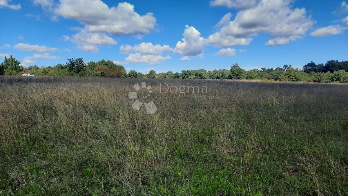 Kmetijsko zemljišče Štokovci, Svetvinčenat, 26.059m2