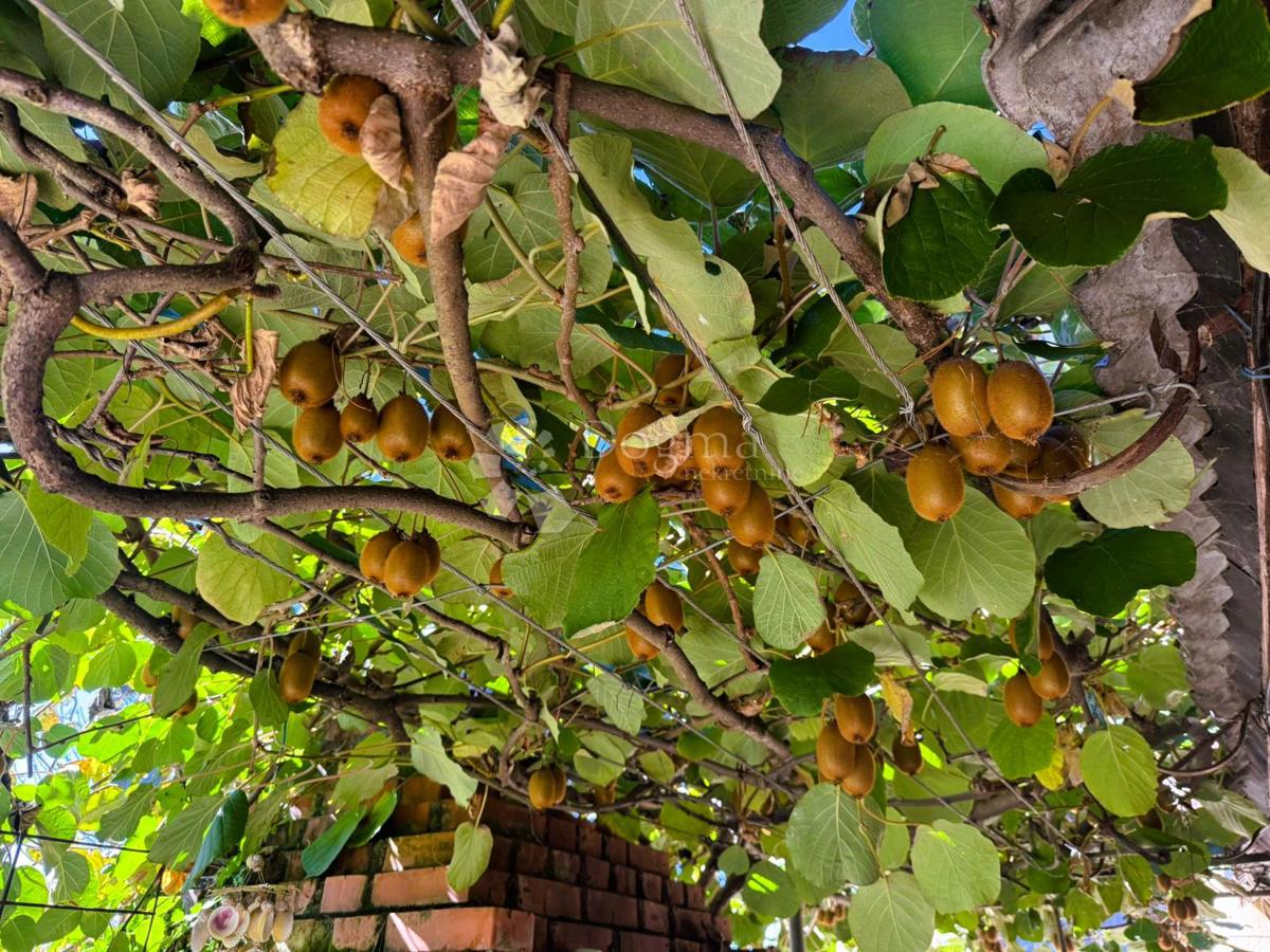 Hiša Dekanovec, 222m2