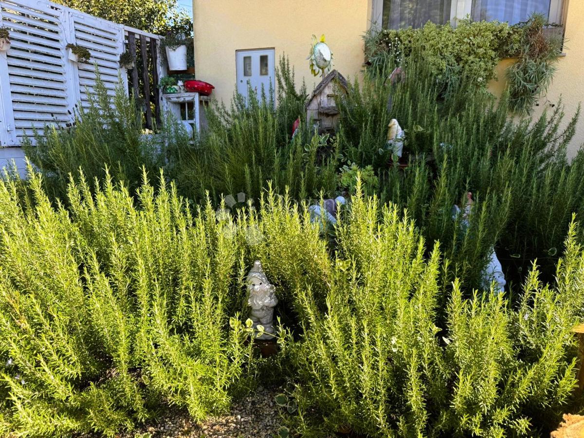 Hiša Dekanovec, 222m2