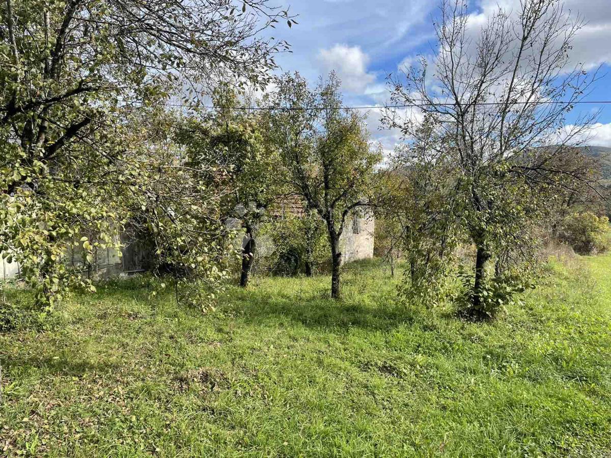 Hiša Plaški, 13.500m2