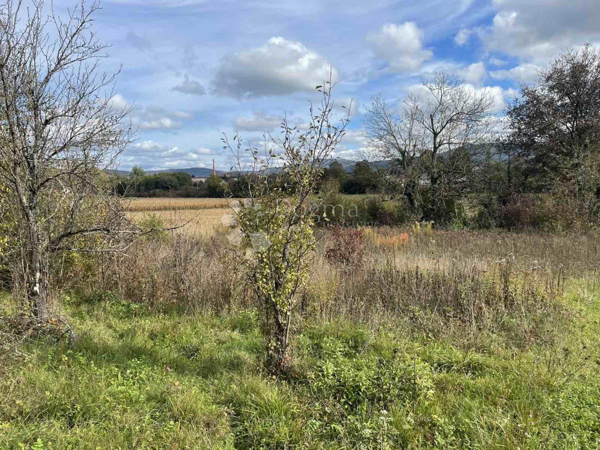 Hiša Plaški, 13.500m2