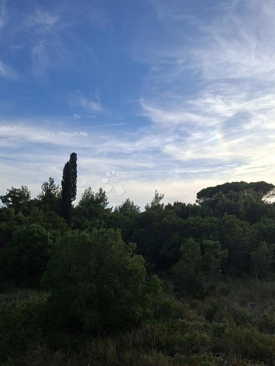 Kmetijsko zemljišče Močići, Konavle, 35.544m2