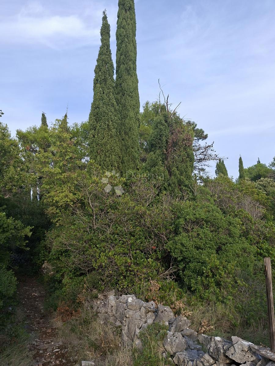 Kmetijsko zemljišče Močići, Konavle, 7.214m2