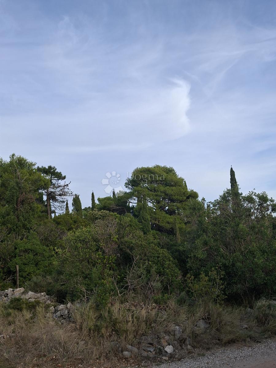 Kmetijsko zemljišče Močići, Konavle, 7.214m2