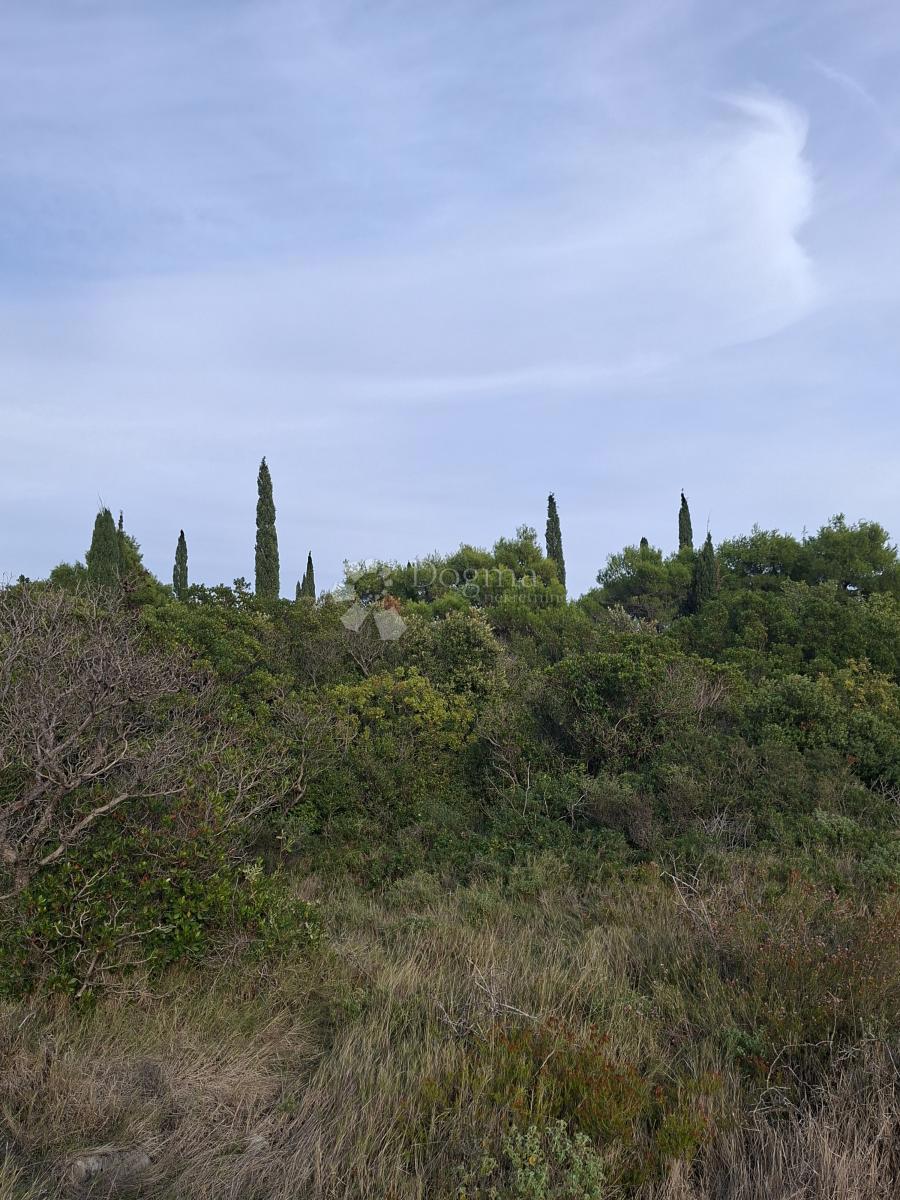 Kmetijsko zemljišče Močići, Konavle, 7.214m2