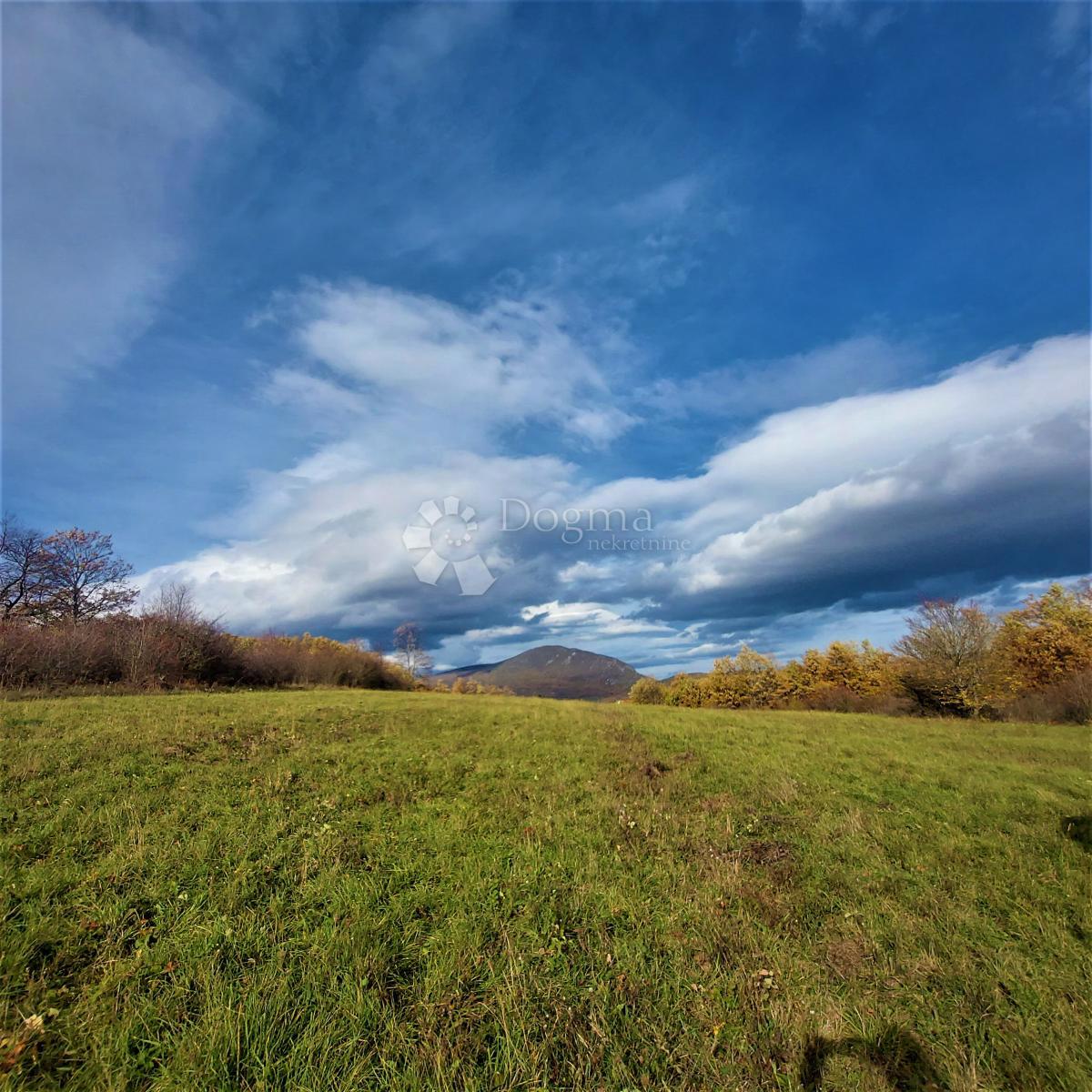 Kmetijsko zemljišče Kestenovac, Donji Lapac, 20.195m2