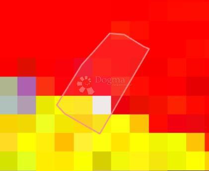 Zazidljivo zemljišče Nova Ves Petrijanečka, Petrijanec, 809m2