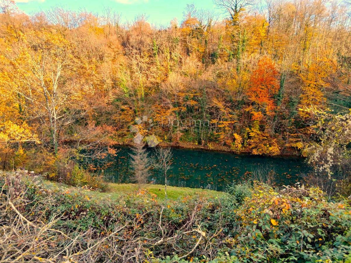 Kmetijsko zemljišče Tounj, 4.042m2