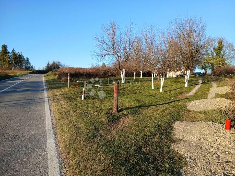 Kmetijsko zemljišče Tounj, 4.042m2