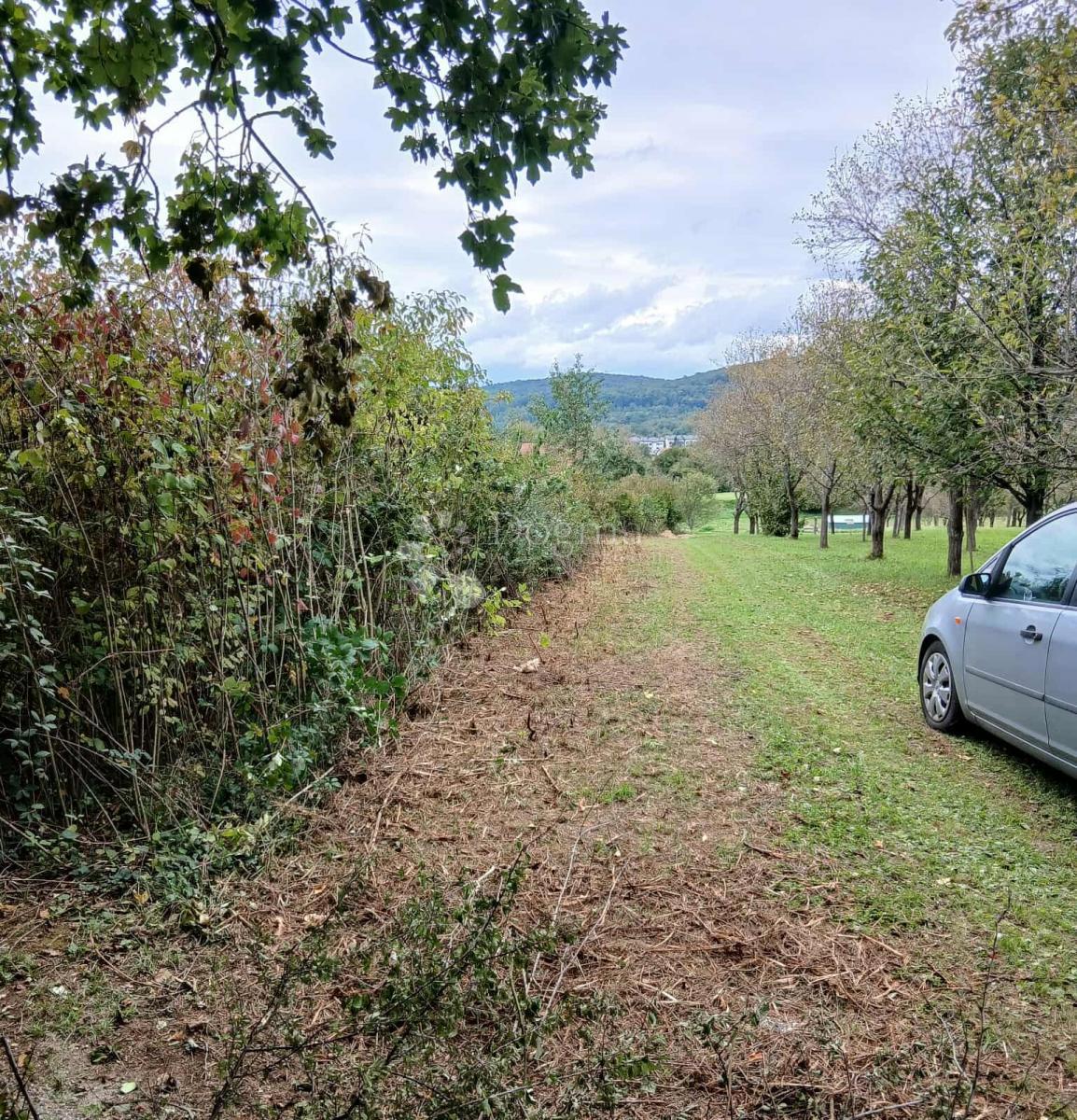 Kmetijsko zemljišče Tounj, 4.042m2