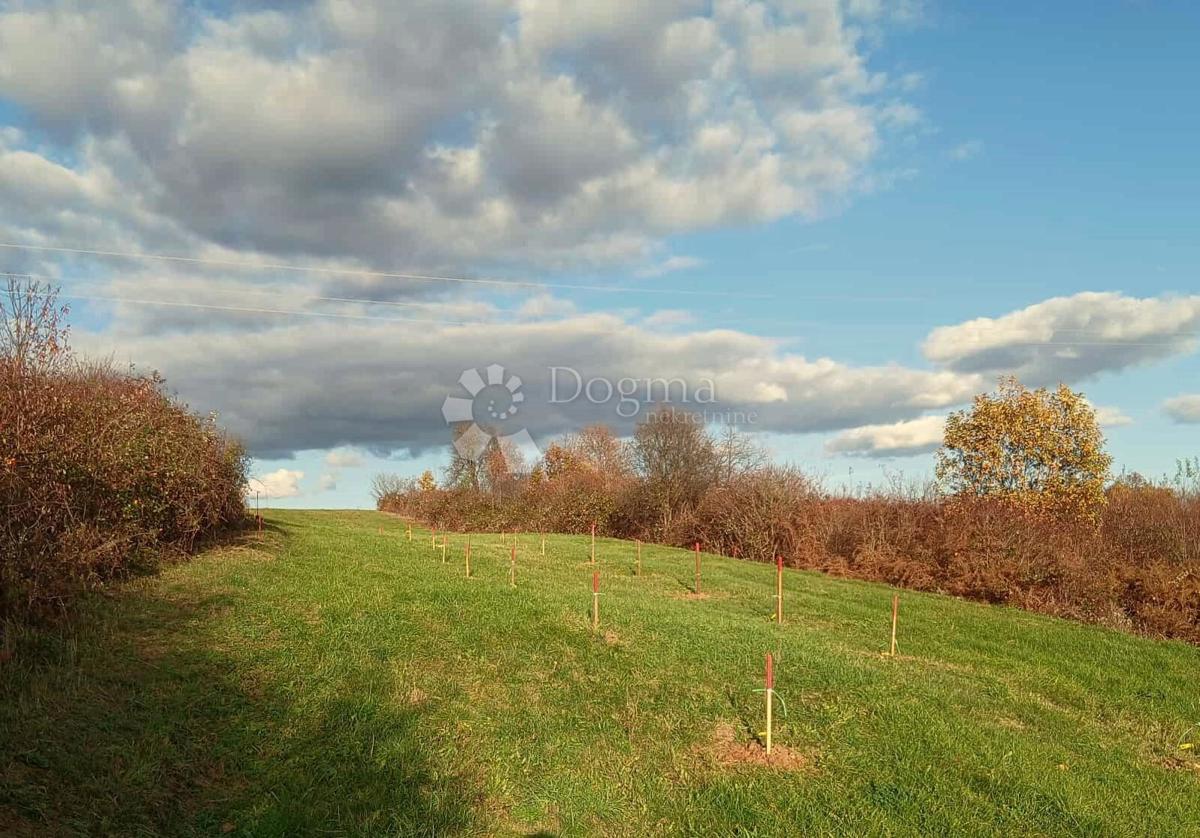 Kmetijsko zemljišče Tounj, 4.042m2