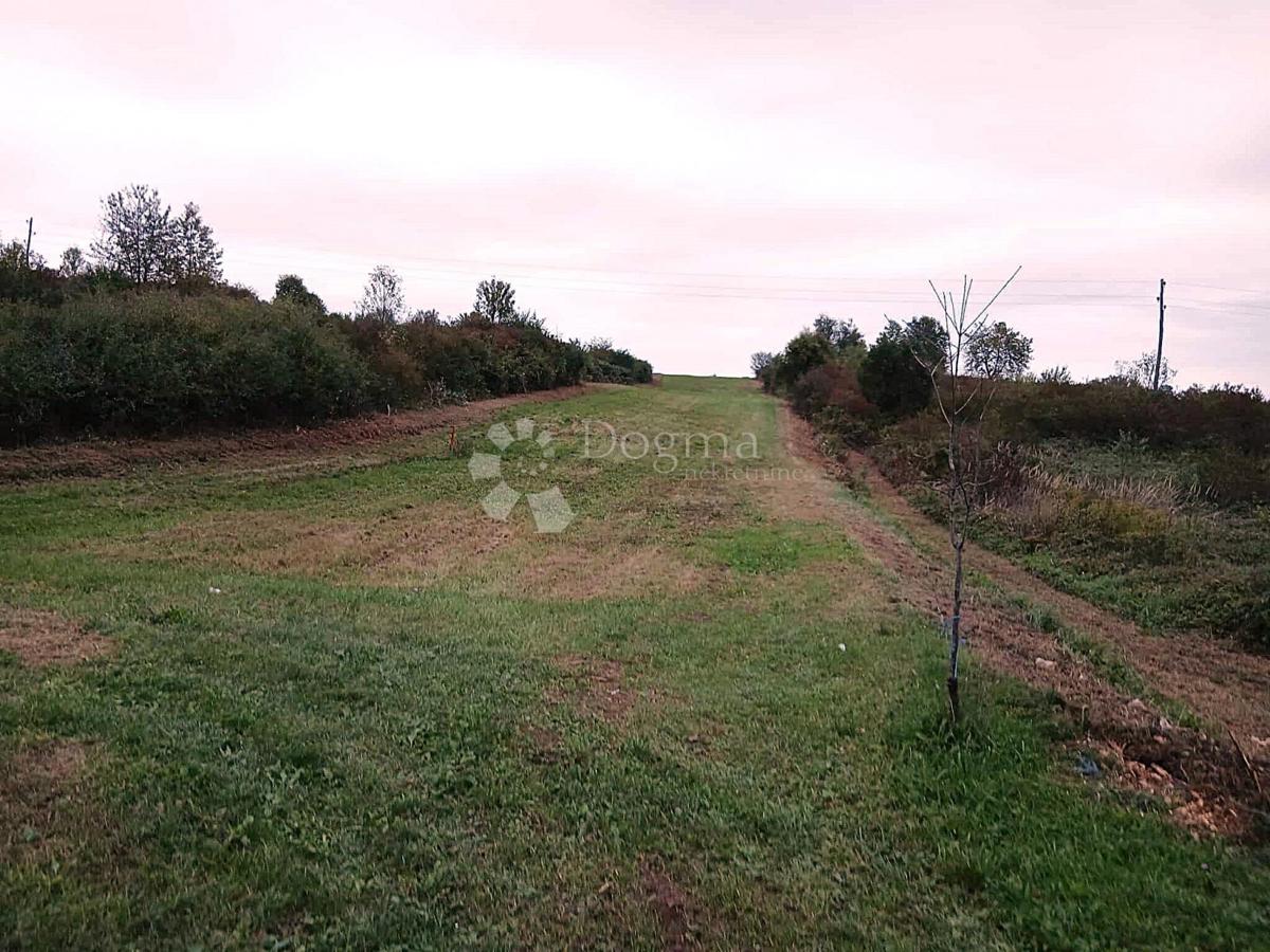 Kmetijsko zemljišče Tounj, 4.042m2