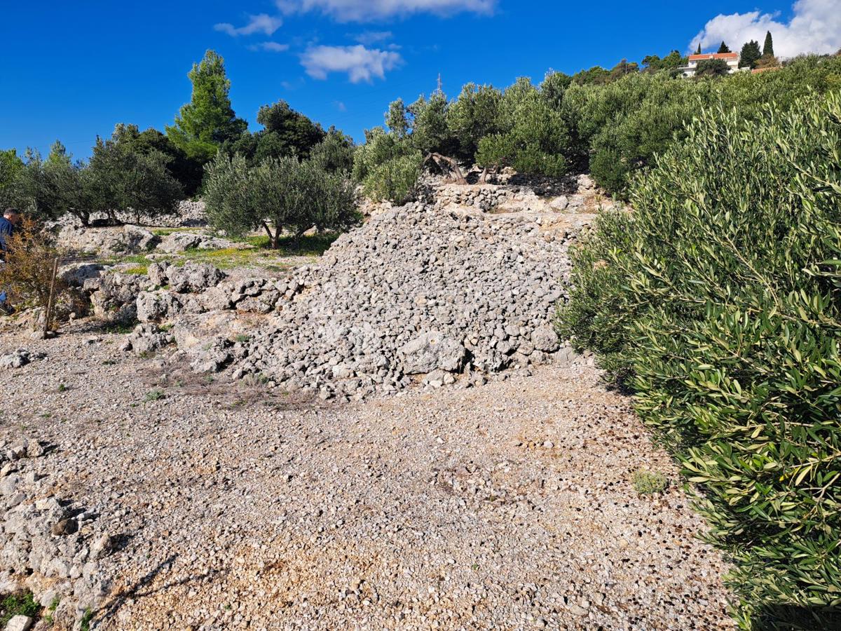 Kmetijsko zemljišče Podgora, 896m2