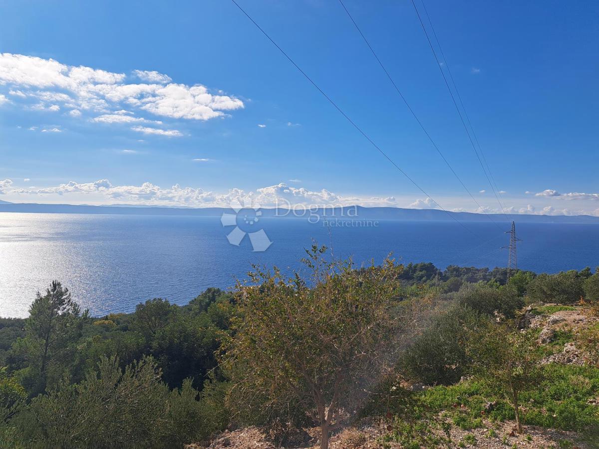 Kmetijsko zemljišče Podgora, 896m2