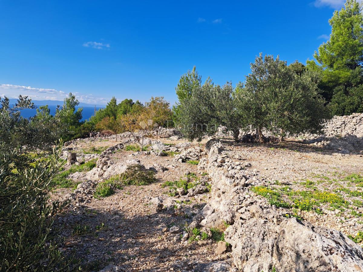 Kmetijsko zemljišče Podgora, 896m2