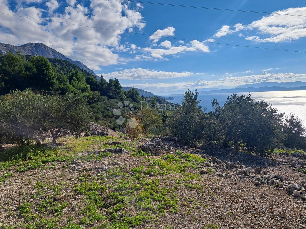 Kmetijsko zemljišče Podgora, 896m2