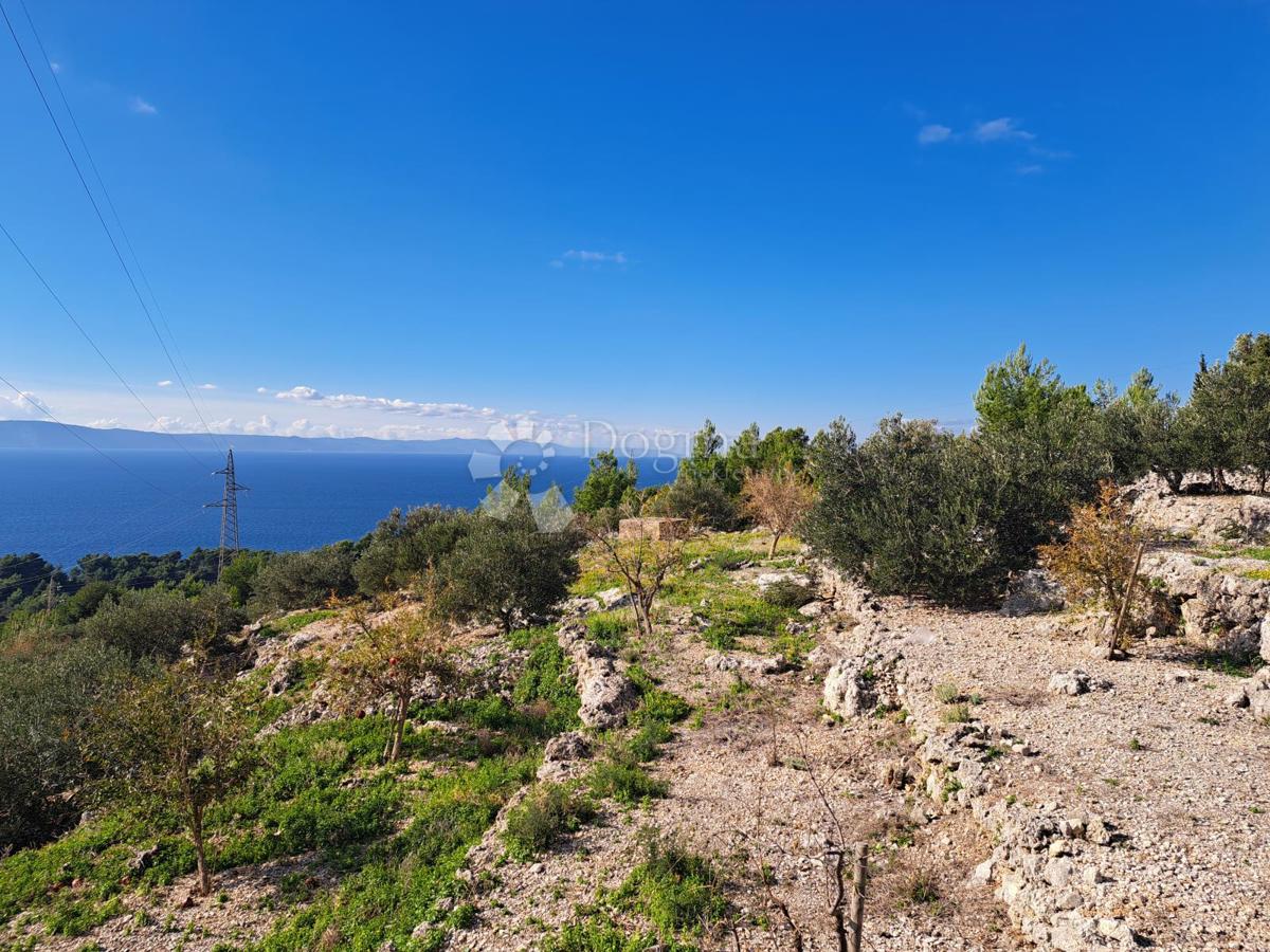 Kmetijsko zemljišče Podgora, 896m2