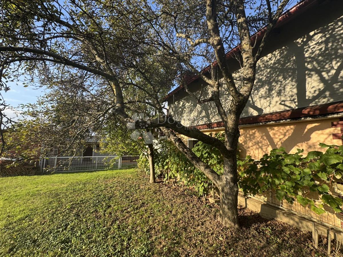 Hiša Maglenča, Veliko Trojstvo, 156m2