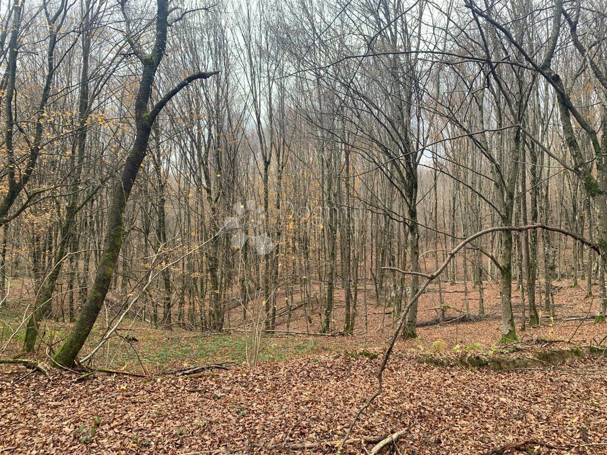 Kmetijsko zemljišče Blatuša, Gvozd, 41.649m2