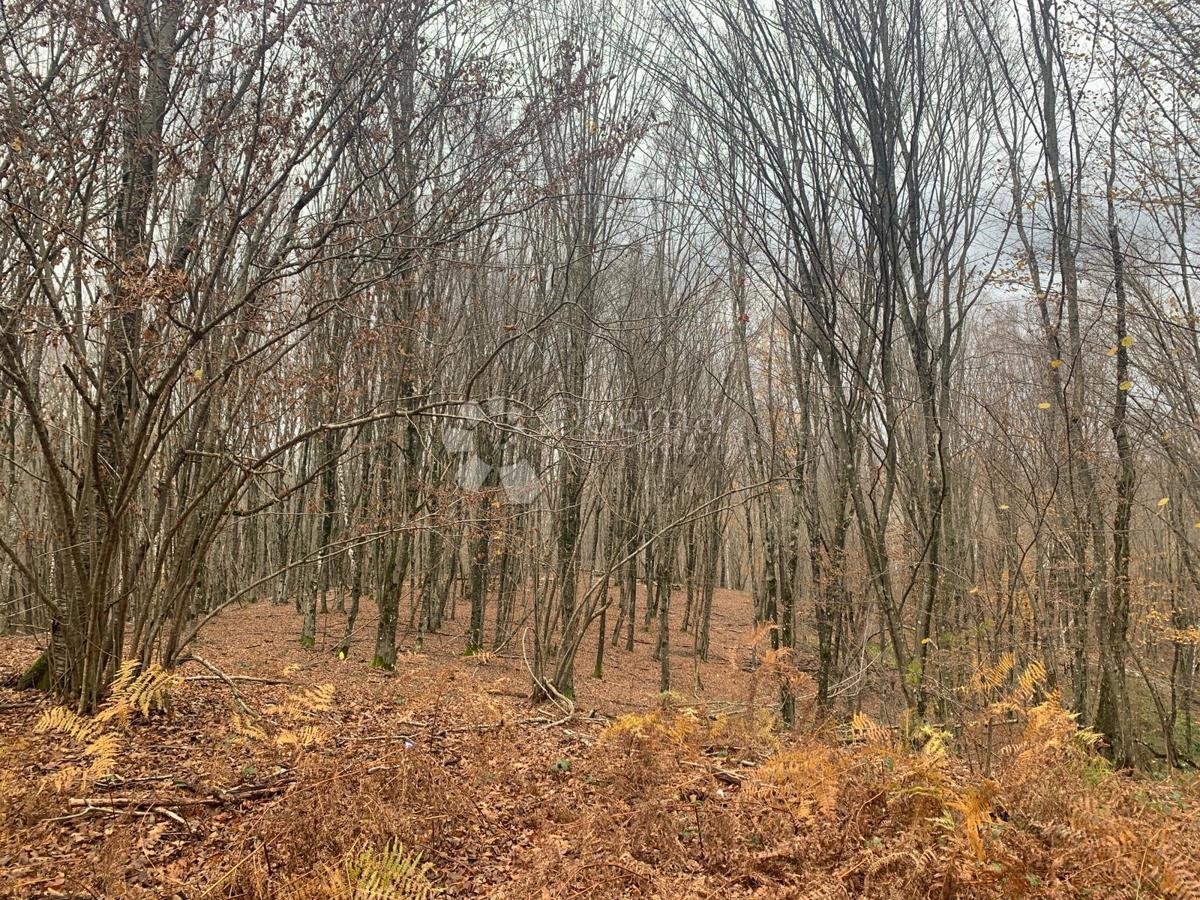 Kmetijsko zemljišče Blatuša, Gvozd, 41.649m2