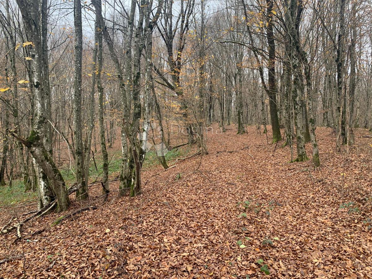 Kmetijsko zemljišče Blatuša, Gvozd, 41.649m2