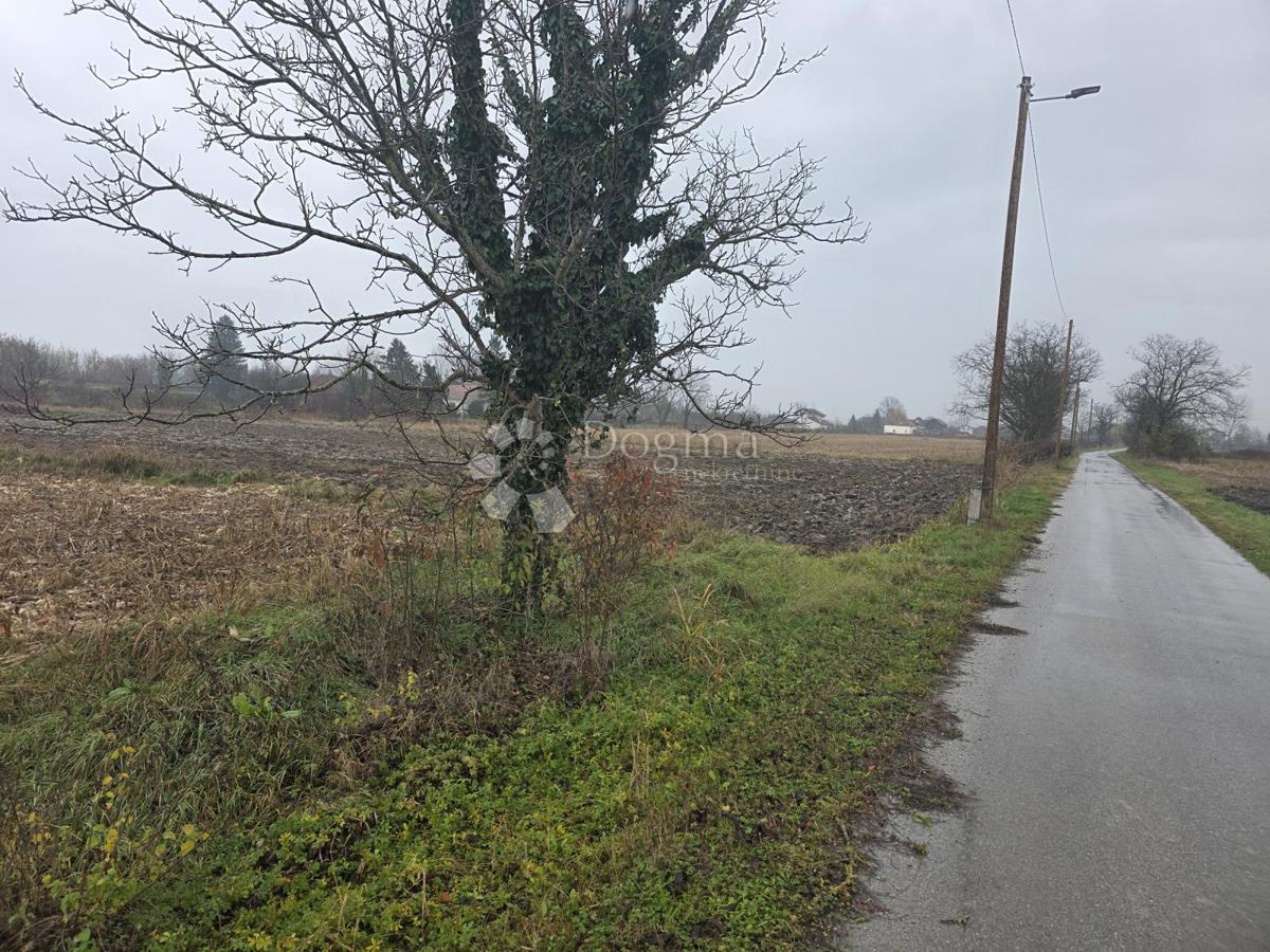 Kmetijsko zemljišče Oborovo, Rugvica, 5.206m2