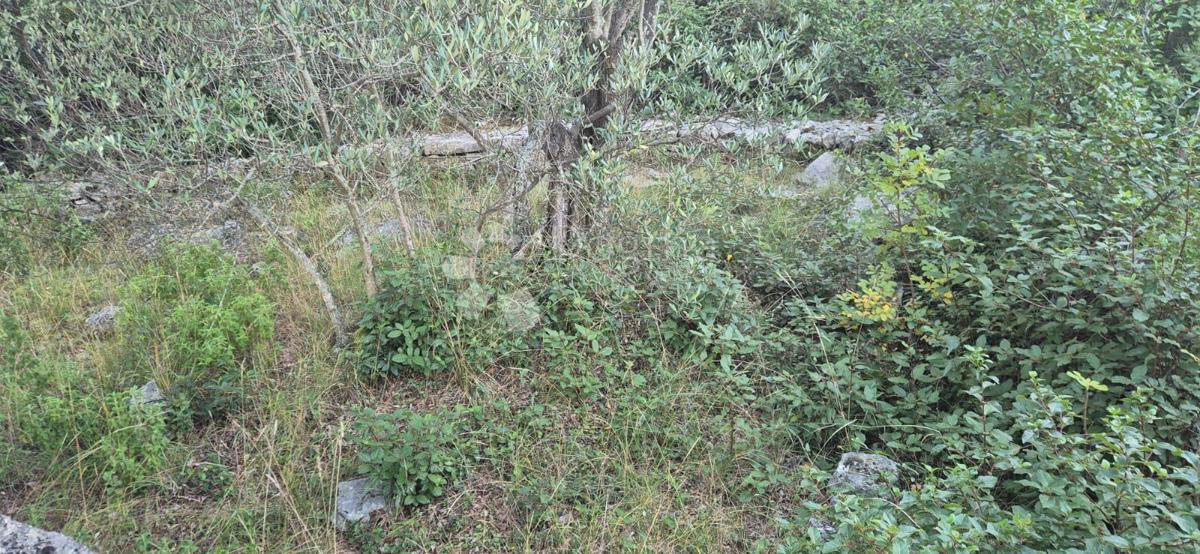 Kmetijska zemljišča v Kaliju