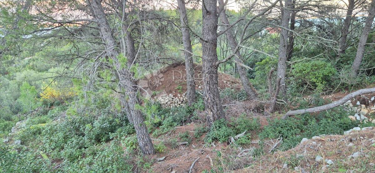 Kmetijska zemljišča v Kaliju