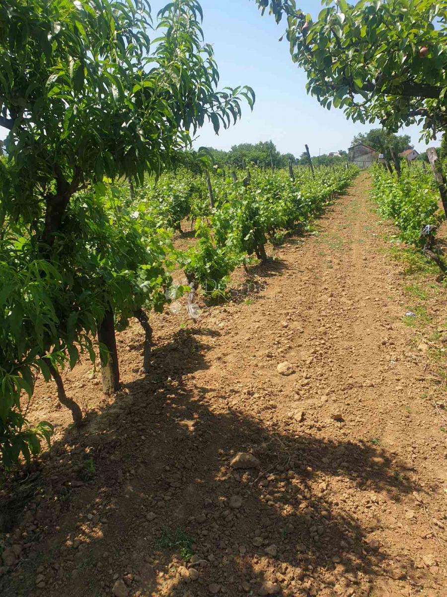 Hiša Kamenac, Kneževi Vinogradi, 45m2