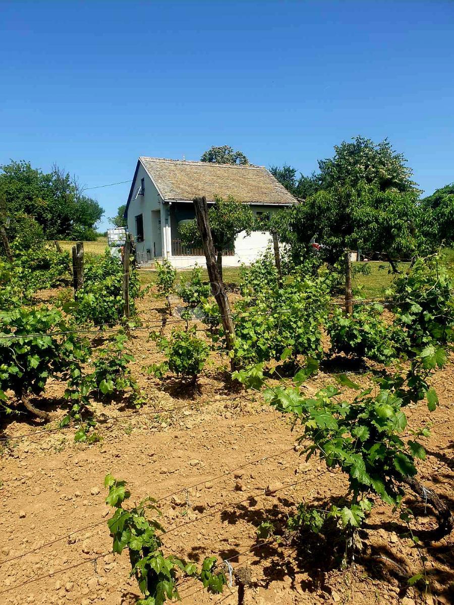 Hiša Kamenac, Kneževi Vinogradi, 45m2
