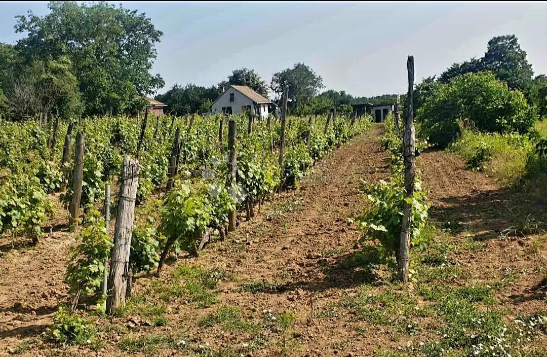 Hiša Kamenac, Kneževi Vinogradi, 45m2