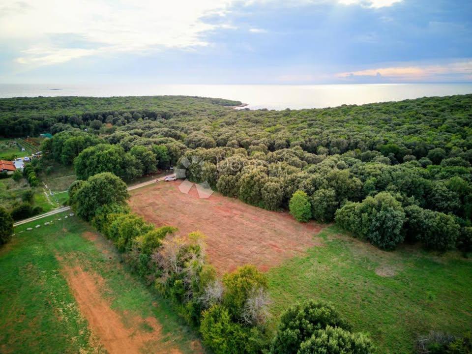 PROSTORNA KMETIJSKA PARCELICA - 300 M OD MORJA