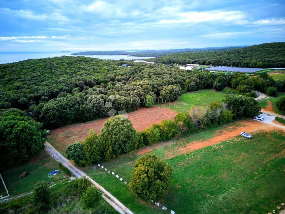 PROSTORNA KMETIJSKA PARCELICA - 300 M OD MORJA