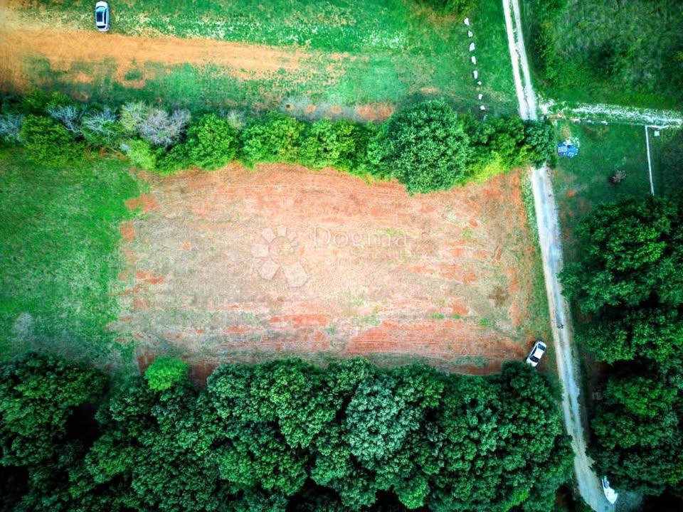 PROSTORNA KMETIJSKA PARCELICA - 300 M OD MORJA