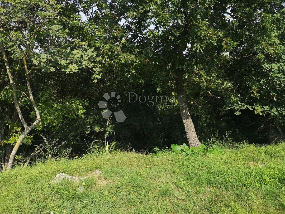 Zemljišče Čabrunići, Svetvinčenat, 5.274m2