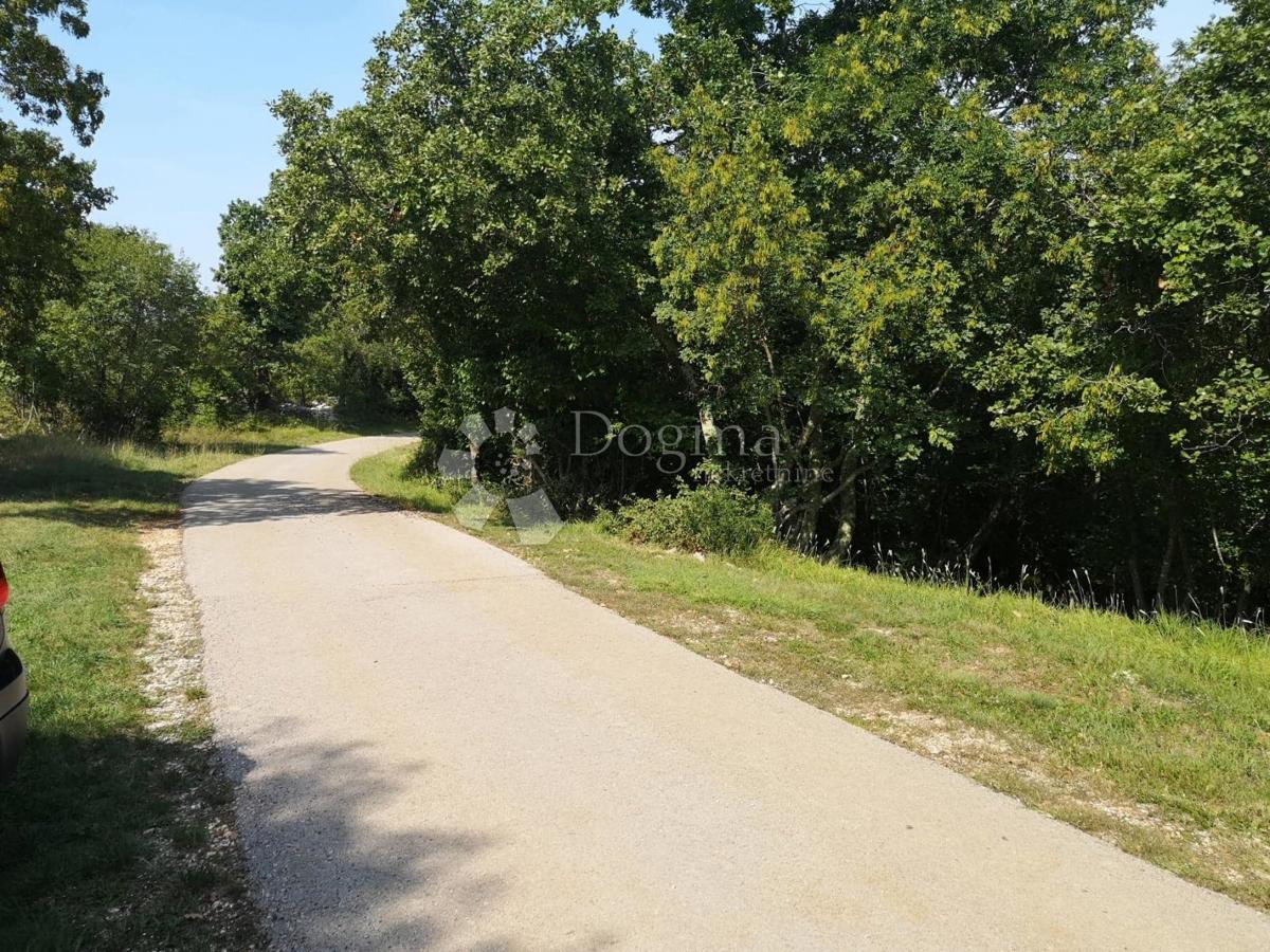 Zemljišče Čabrunići, Svetvinčenat, 5.274m2