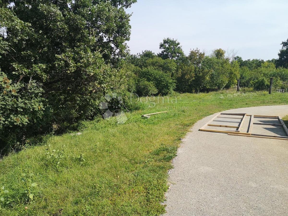 Zemljišče Čabrunići, Svetvinčenat, 5.274m2