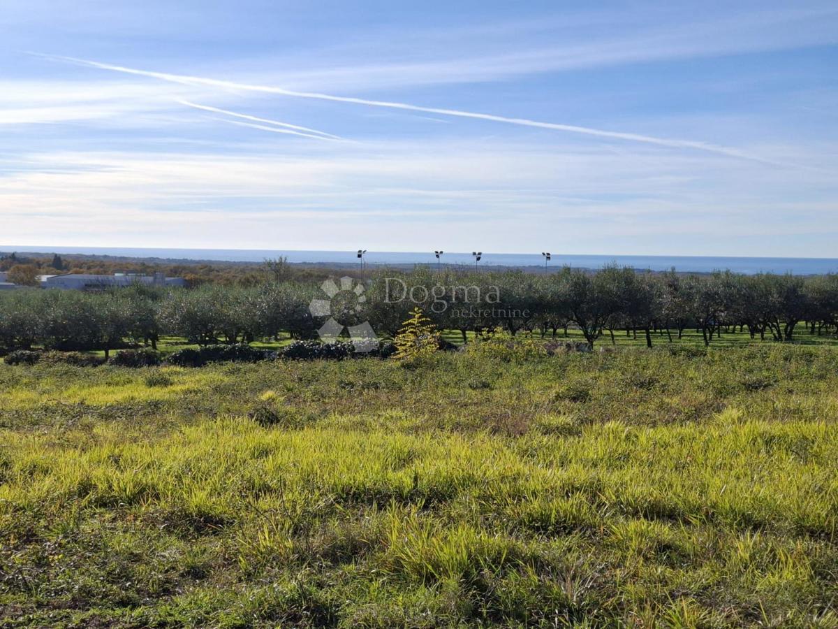 Zazidljivo zemljišče Poreč, 751m2