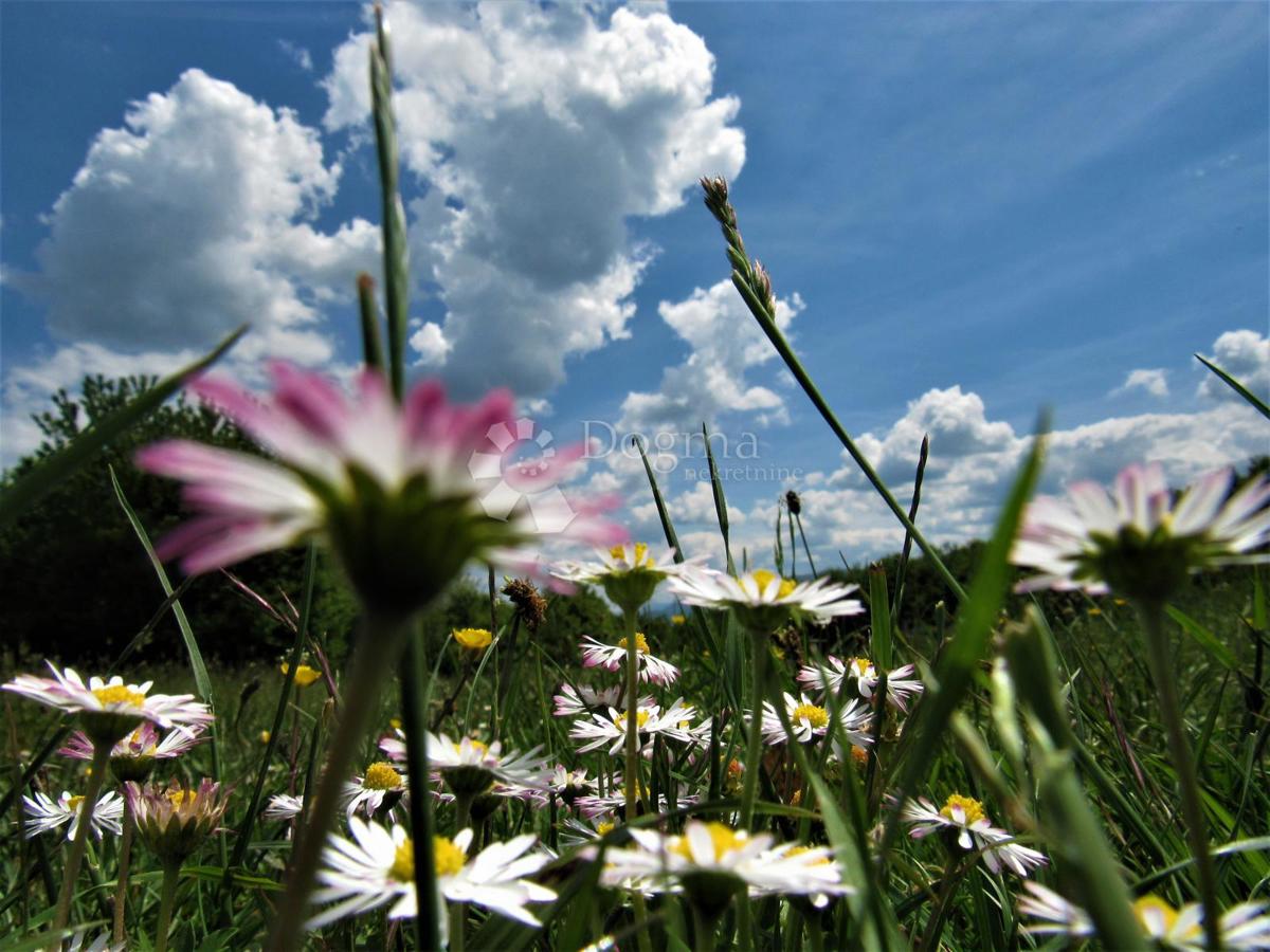 Kmetijsko zemljišče Kruge, Donji Lapac, 16.699m2