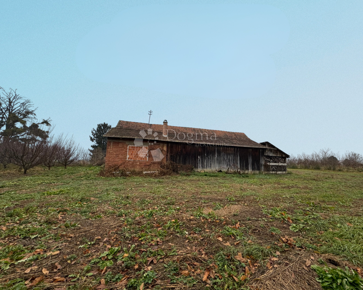 Hiša Starčevljani, Kapela, 125m2