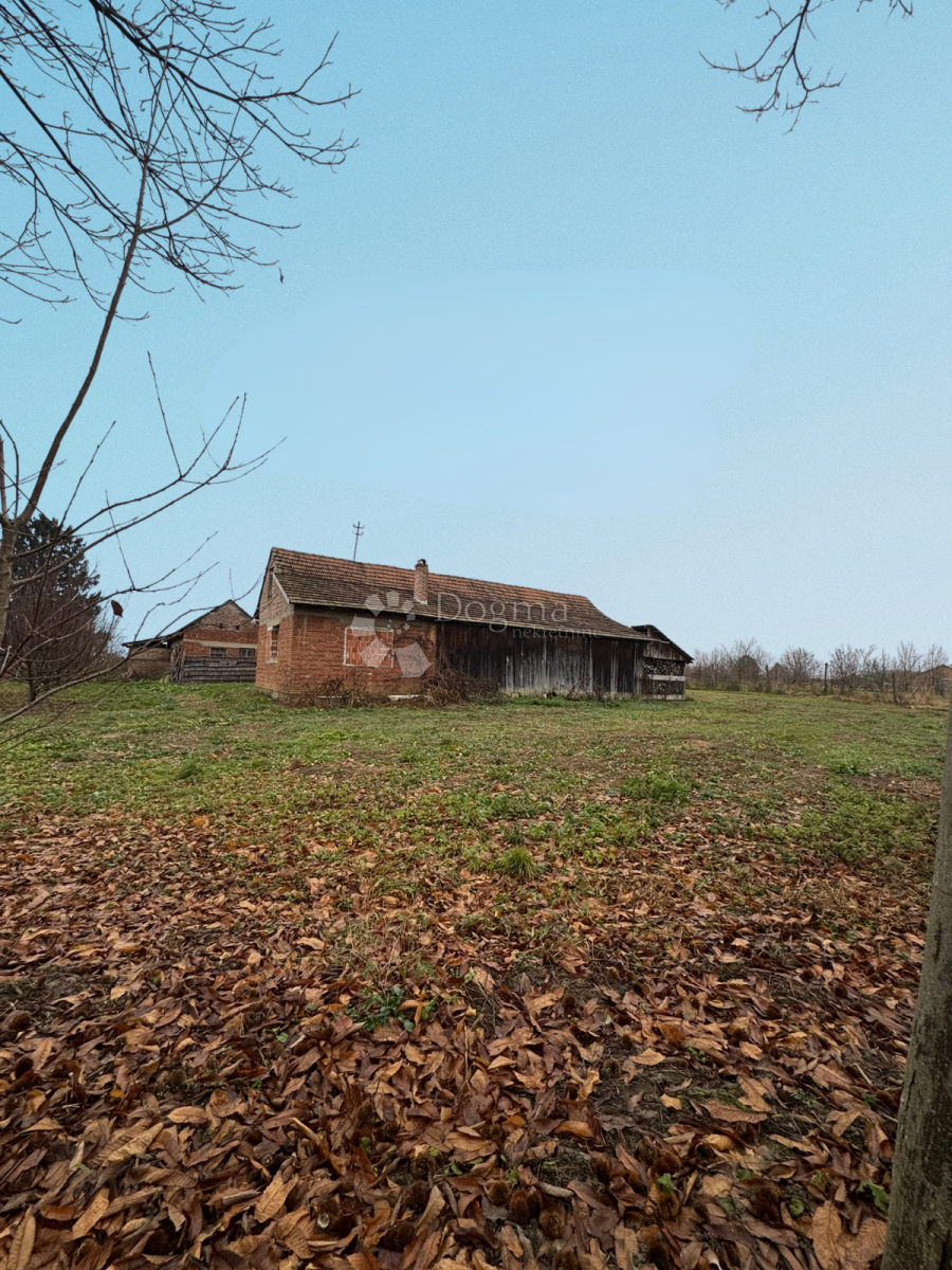 Hiša Starčevljani, Kapela, 125m2