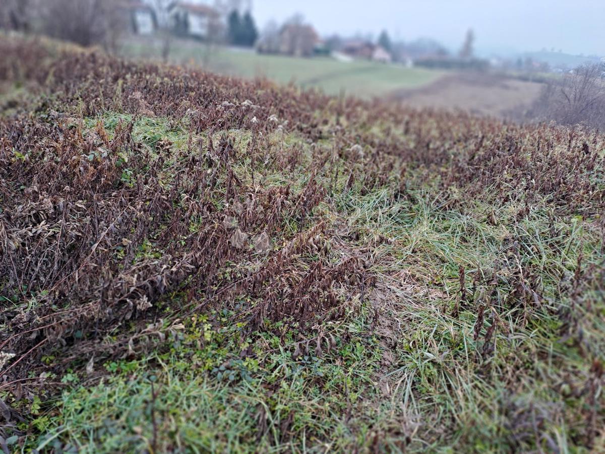 Zazidljivo zemljišče Turanj, Karlovac, 1.569m2