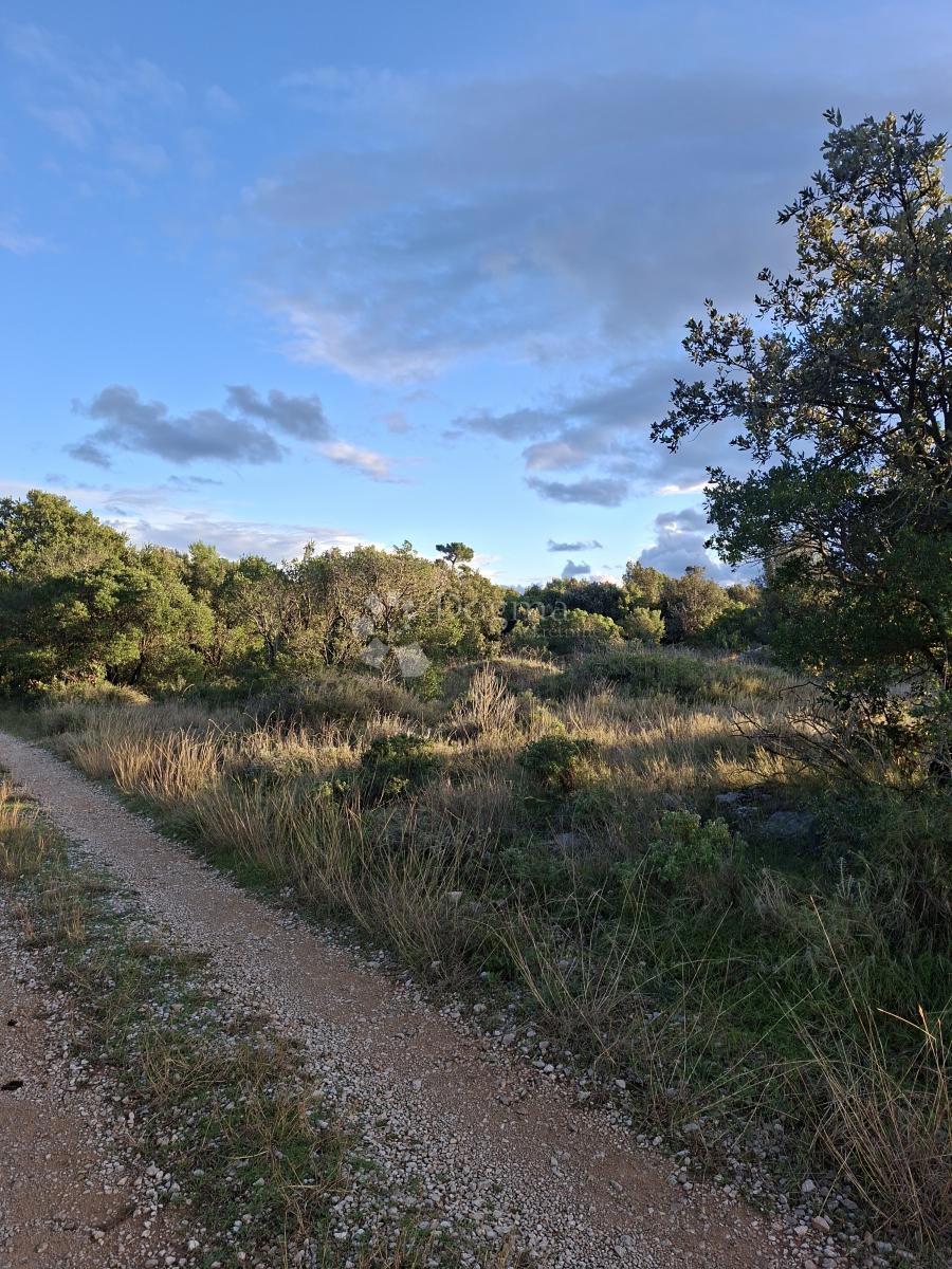 Kmetijsko zemljišče Močići, Konavle, 10.477m2