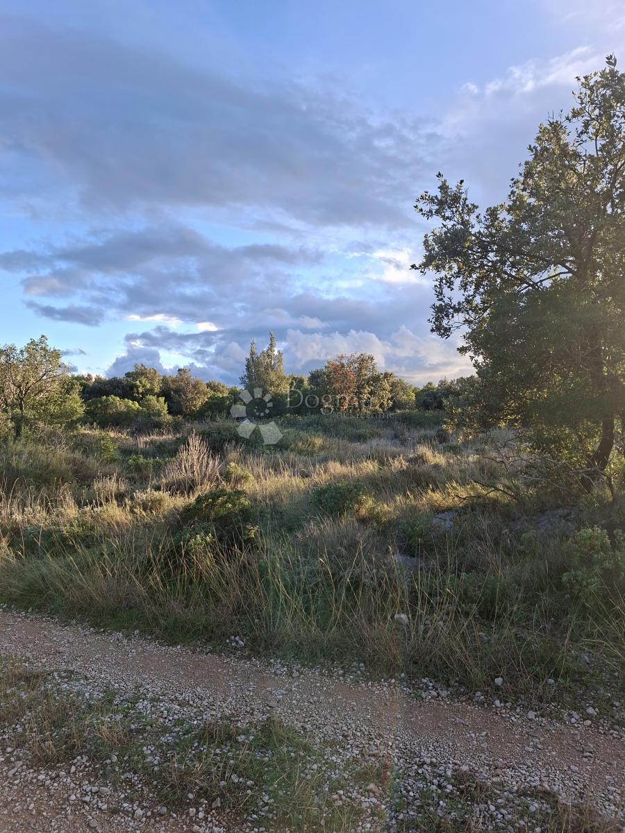 Kmetijsko zemljišče Močići, Konavle, 10.477m2