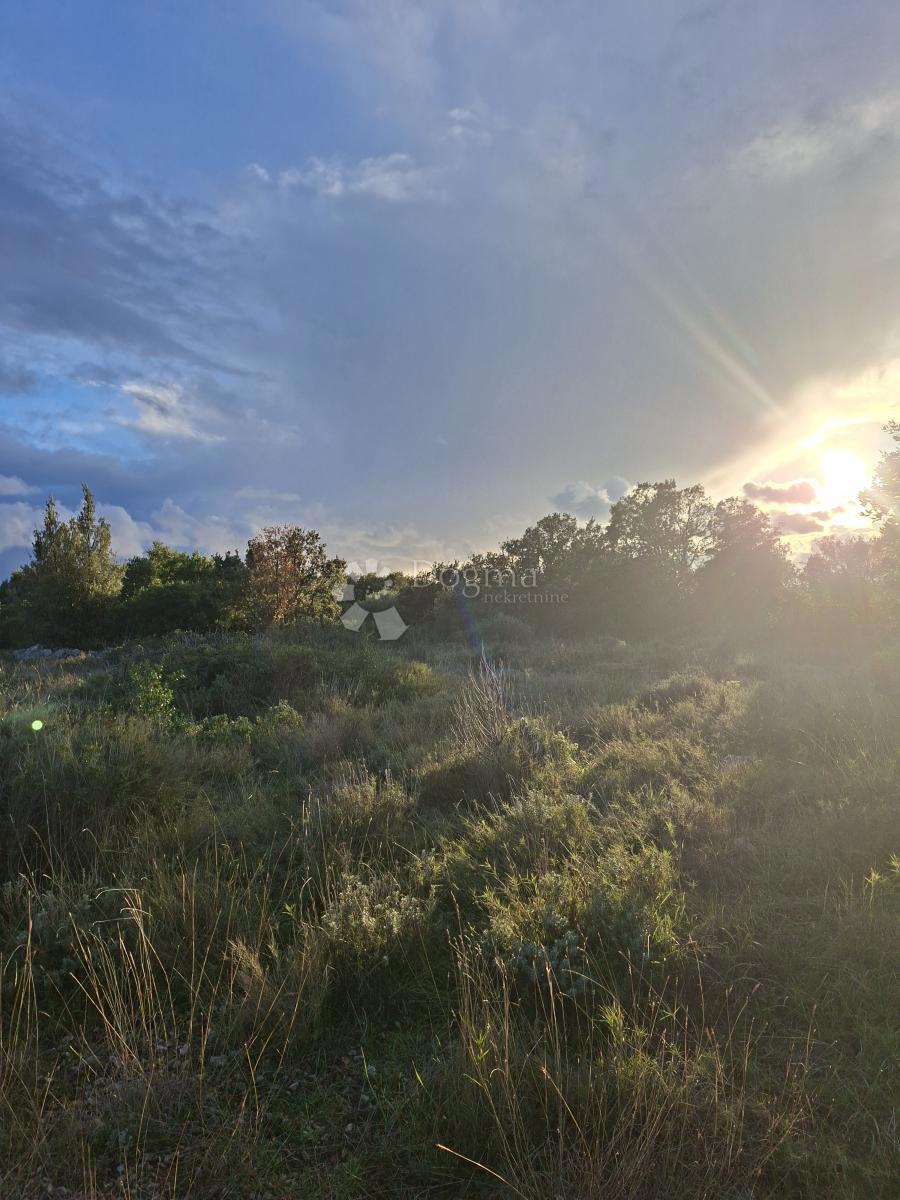 Kmetijsko zemljišče Močići, Konavle, 10.477m2