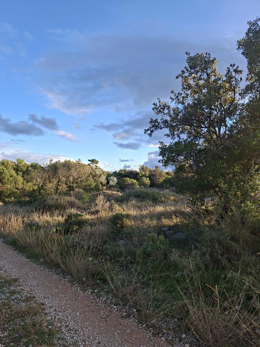 Kmetijsko zemljišče Močići, Konavle, 10.477m2