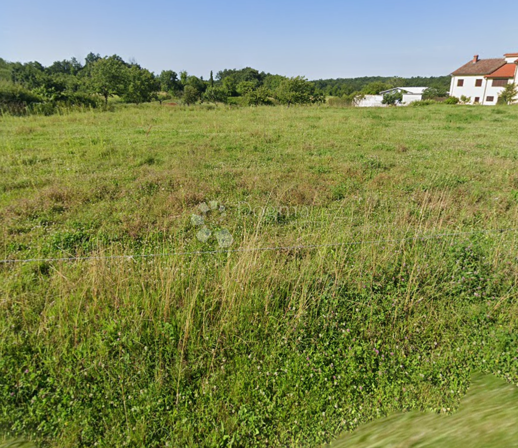 Zazidljivo zemljišče Barban, 3.250m2