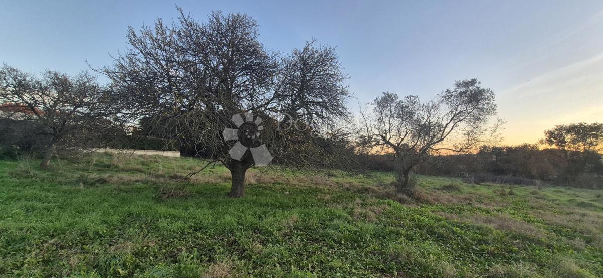 Gradbeno zemljišče 1 km od morja 
